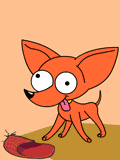 GIF animado (10651) Chihuahua