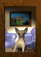 GIF animado (10663) Chihuahua en la ventana