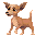 GIF animado (10677) Chihuahua saltando