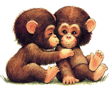 GIF animado (2221) Chimpances romanticos
