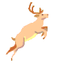 GIF animado (9009) Ciervo corriendo
