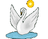 GIF animado (6862) Cisne