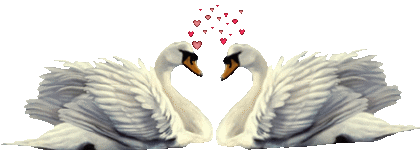 GIF animado (2016) Cisnes de amor