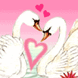 GIF animado (2020) Cisnes romanticos