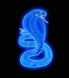 GIF animado (11286) Cobra azul