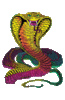 GIF animado (11289) Cobra colorida