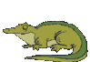 GIF animado (11194) Cocodrilo