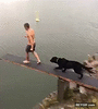 GIF animado (116533) Colegas de salto