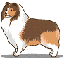 GIF animado (10693) Collie