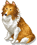 GIF animado (10694) Collie
