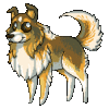 GIF animado (10703) Collie manga