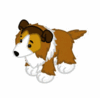 GIF animado (10707) Collie saltando