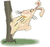 GIF animado (9034) Conejo