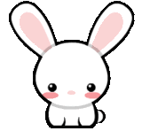GIF animado (9048) Conejo bonito
