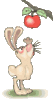 GIF animado (9055) Conejo con una manzana