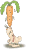 GIF animado (9060) Conejo con una zanahoria