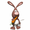 GIF animado (9062) Conejo con una zanahoria