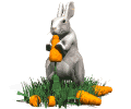 GIF animado (9063) Conejo con una zanahoria