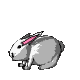GIF animado (9066) Conejo corriendo