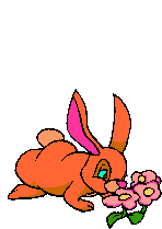 GIF animado (9076) Conejo entre las flores
