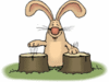 GIF animado (9079) Conejo musico