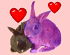 GIF animado (2045) Conejos de amor