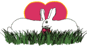 GIF animado (2050) Conejos enamorados