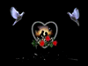 GIF animado (3250) Corazon de flores