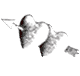 GIF animado (3220) Corazones flechas