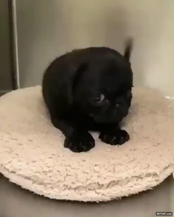 GIF animado (116358) Cuando eres timido pero quieres hablar con la chica que te gusta