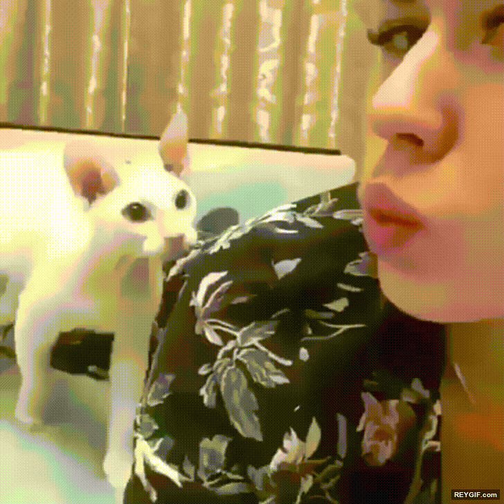 GIF animado (116310) Cuando le intentas dar un beso a tu pareja pero todavia esta enfadada contigo