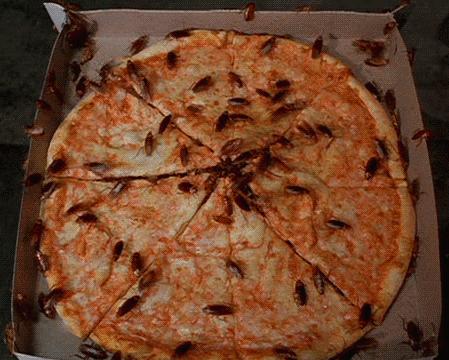 GIF animado (8253) Cucarachas pizza
