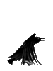 GIF animado (6895) Cuervo