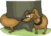 GIF animado (11071) Dachshund