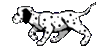 GIF animado (10731) Dalmata