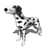 GIF animado (10732) Dalmata