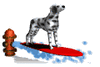 GIF animado (10741) Dalmata haciendo surf