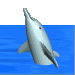 GIF animado (5790) Delfin en el mar