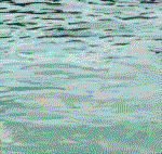 GIF animado (5800) Delfines