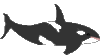 GIF animado (6215) Dibujo orca