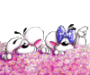 GIF animado (13744) Diddlina diddl