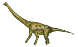 GIF animado (7540) Dinosaurio braquiosaurio