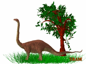 GIF animado (7551) Diplodocus
