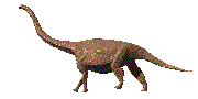 GIF animado (7561) Diplodocus caminando