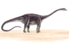 GIF animado (7563) Diplodocus cola latigo