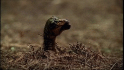 GIF animado (7575) Diplodocus recien nacido