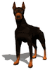 GIF animado (10825) Doberman