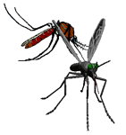 GIF animado (8501) Dos mosquitos