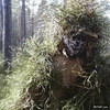 GIF animado (116308) El camuflaje perfecto ahora siempre que vayas por el monte vas a dudar