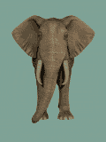 GIF animado (9094) Elefante